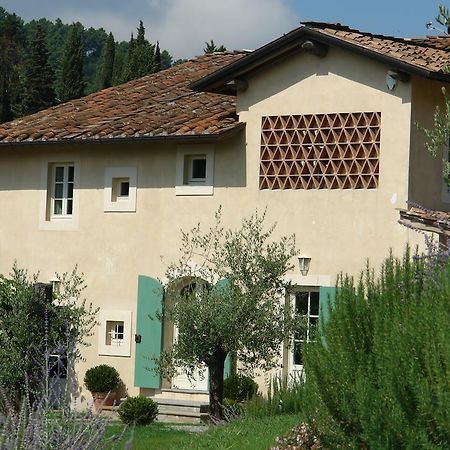 Agriturismo Mareli Villa Camaiore Dış mekan fotoğraf