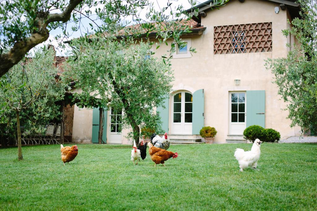 Agriturismo Mareli Villa Camaiore Dış mekan fotoğraf
